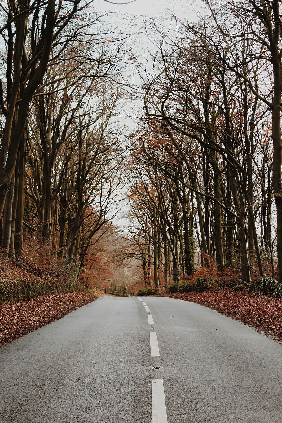 1366x768px Free Download Hd Wallpaper Gray Concrete Road