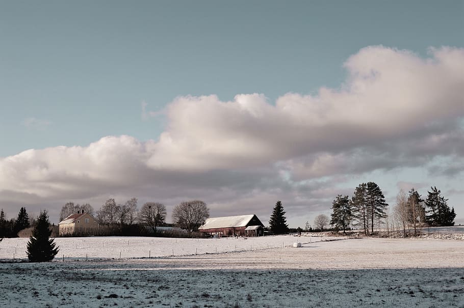 sweden, tree, trees, house, clouds, landscape, sky, snow, winter HD wallpaper