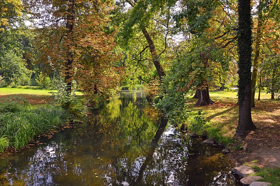 landscape, nature, trees, park, river, bach, water, mirroring HD wallpaper