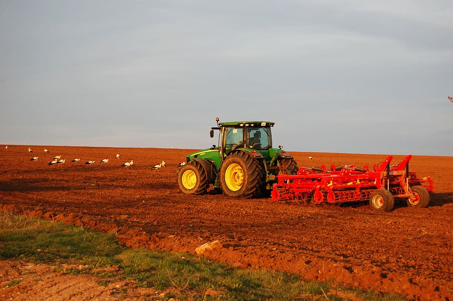 tractor, plowing, field, storks, agricultural, farmer, agriculture HD wallpaper