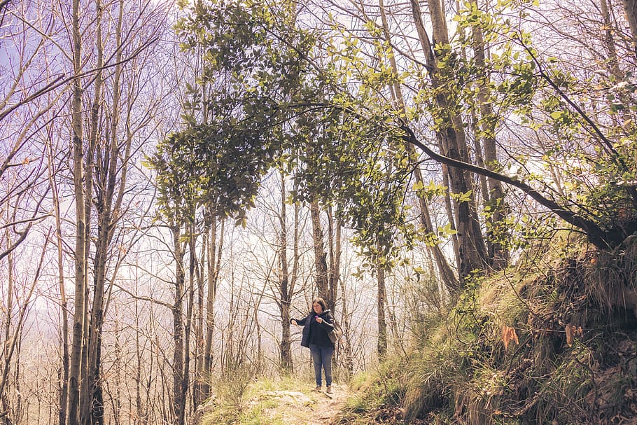 trees, mountain, leaves, dream, woman, plant, one person, leisure activity HD wallpaper