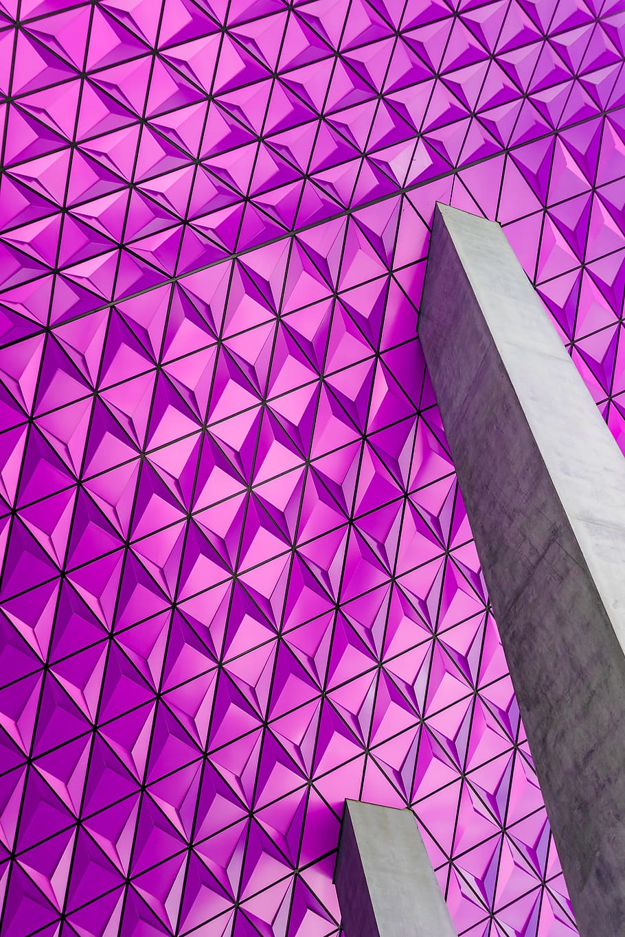 Closeup Photo of Pink Graphic Wallpaper, abstact, art, bright HD wallpaper