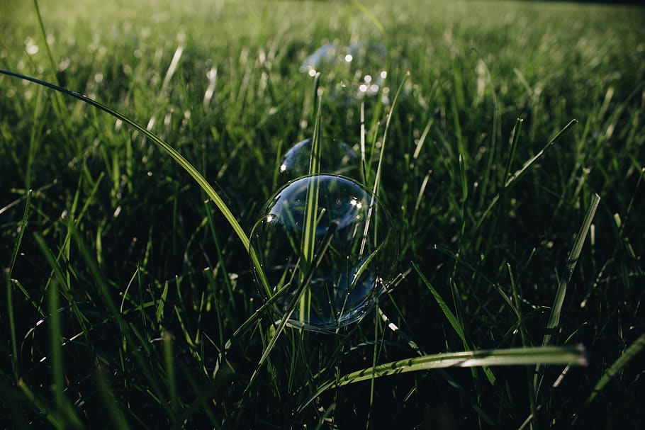 green, grass, bubbles, lawn, nature, abstract, summer, summetime HD wallpaper