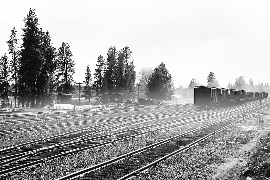 train, rail transportation, tree, railroad track, plant, mode of transportation HD wallpaper