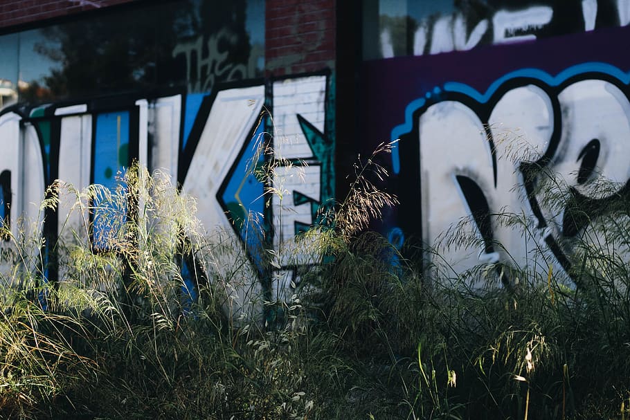 greece, athens, art, street art, plant, no people, grass, day HD wallpaper