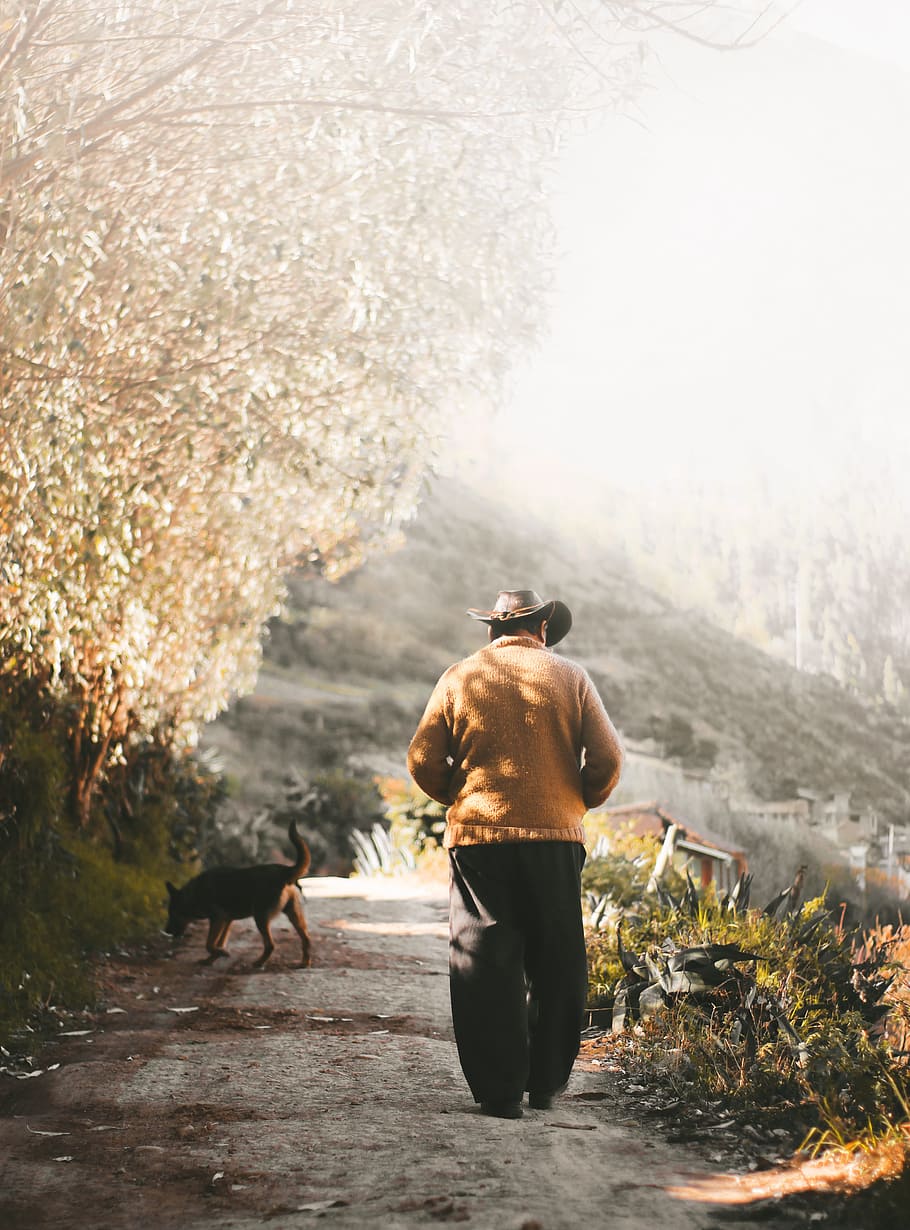 man wearing brown sweater walking on the field near the dog, candid HD wallpaper