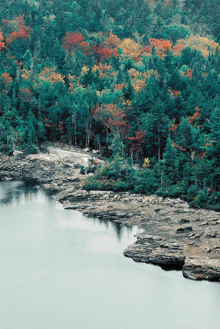 trees, lake, forest, foliage, fall, mountain, new hampshire HD wallpaper