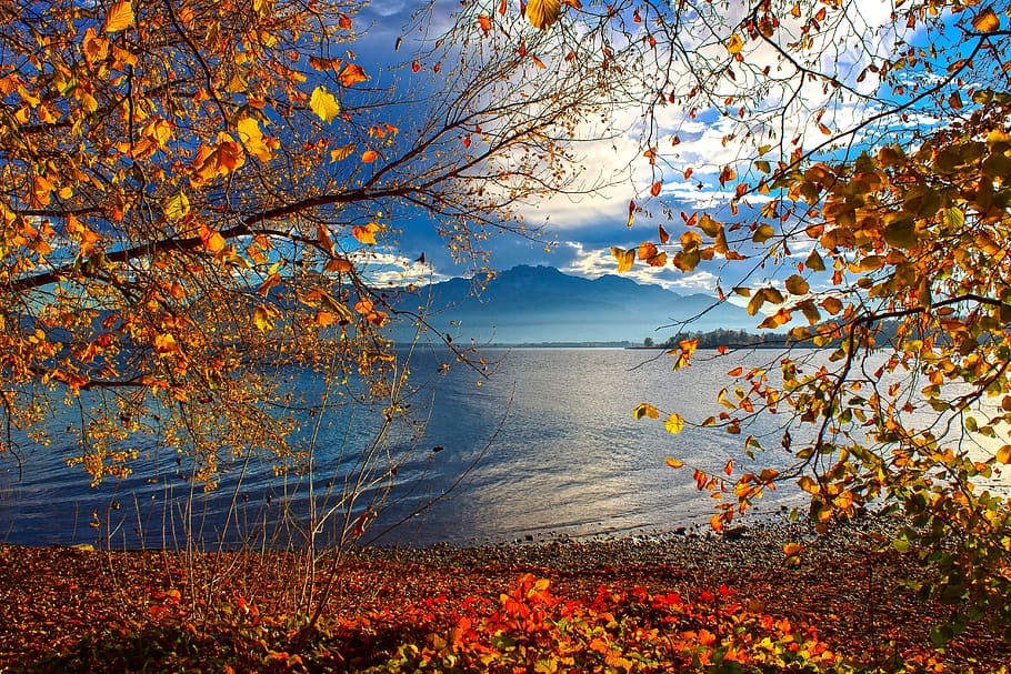 lake, chiemsee, alpine, autumn, nature, landscape, haze, fog, HD wallpaper