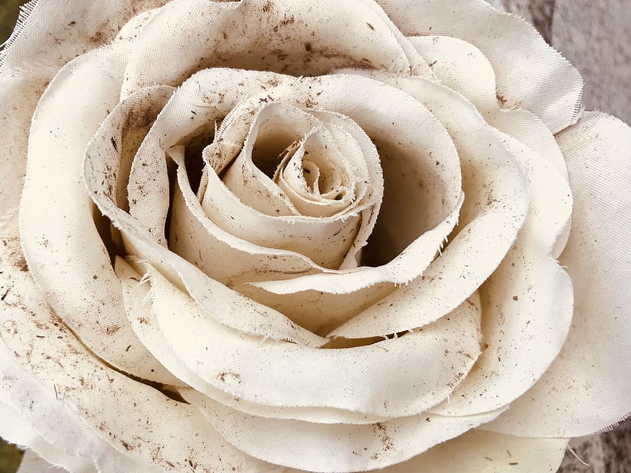 cemetery, plastic, rose, weathered, beautiful, full frame, plant HD wallpaper