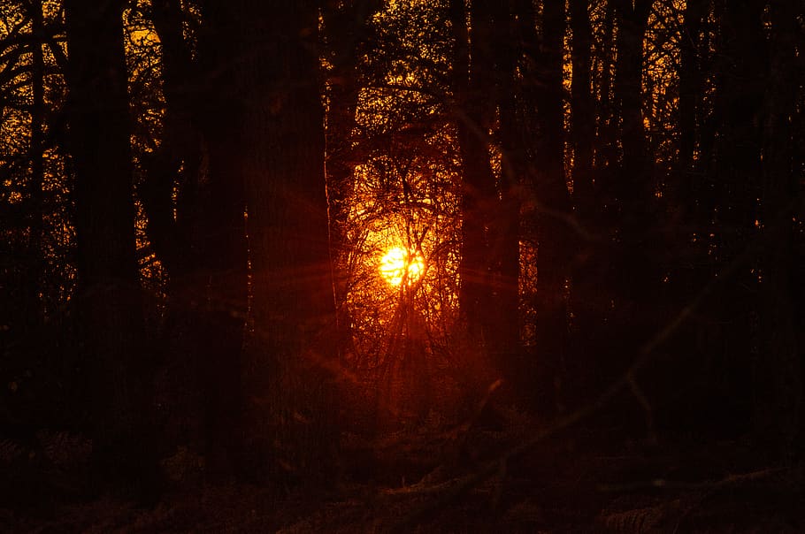 light, flare, sunlight, sunset, dawn, sky, outdoors, nature HD wallpaper