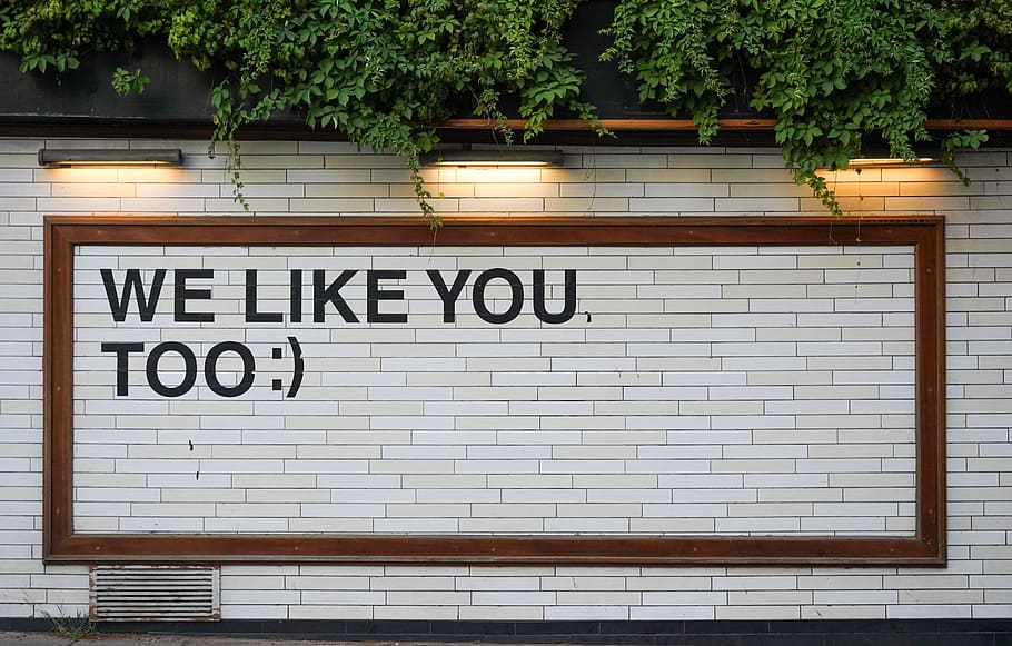 We Like You signage on white tile, wall, text, type, happy, positive HD wallpaper