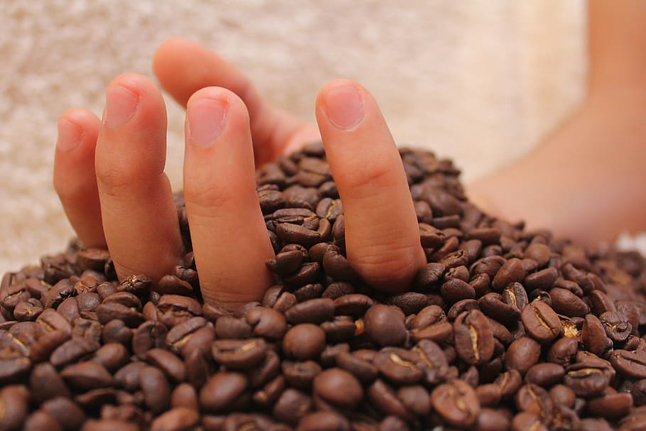 coffee, drink, caffeine, cafe, fresh, drinks, cappuccino, aroma HD wallpaper