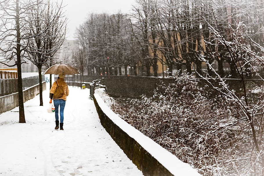 Woman With Umbrella Walking on Snow Covered Sidewalk, cold, daylight HD wallpaper