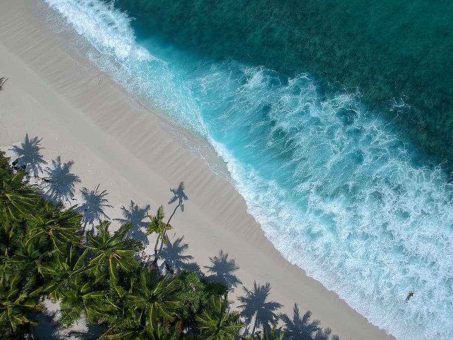 aerial photography of beach, outdoors, nature, ocean, water, sea