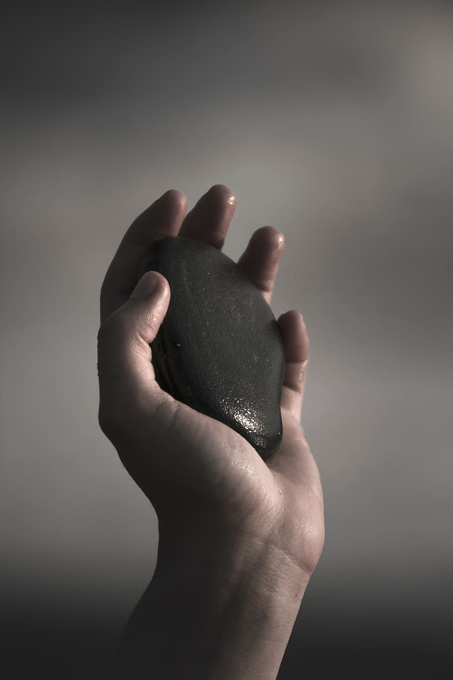 human hand, human body part, one person, indoors, studio shot HD wallpaper