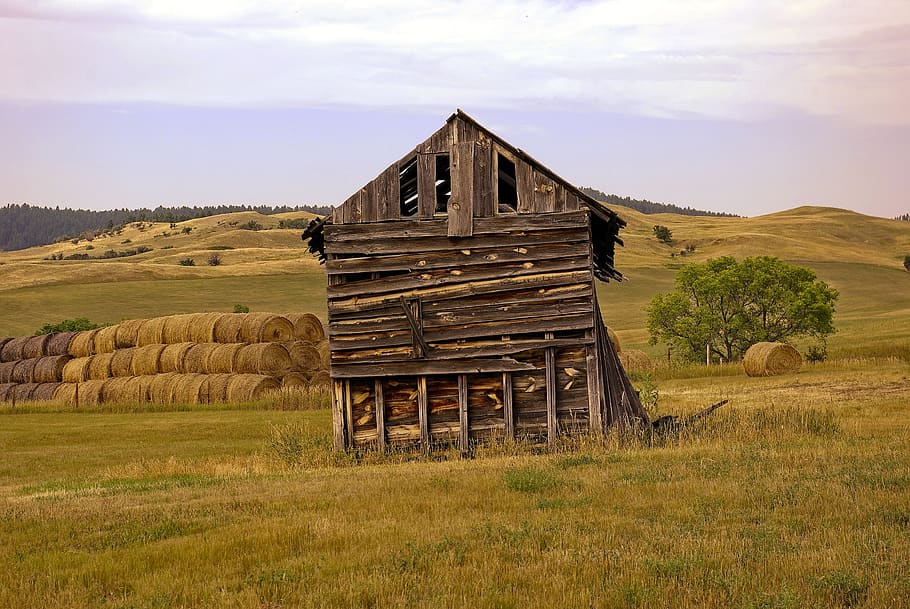 decaying barn, old, dilapidated, weathered, wood, abandoned, HD wallpaper