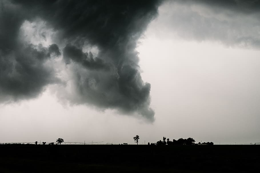 trees and clouds, storm, tornado, silhouette, thunderstorm, grey HD wallpaper