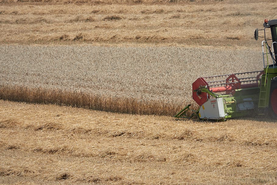 combine harvester, agriculture, field, rural, cereals, machine, HD wallpaper