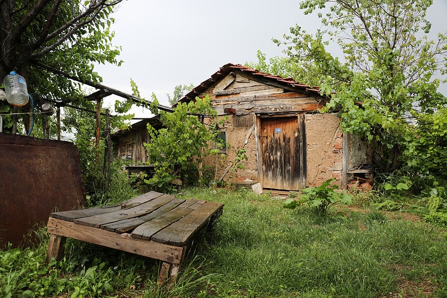 turkey, yenipazar, plant, architecture, built structure, tree HD wallpaper