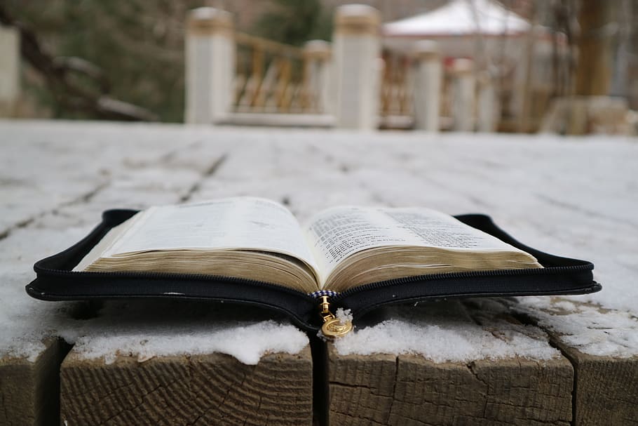 winter, snow, holy bible, book, publication, open, focus on foreground HD wallpaper