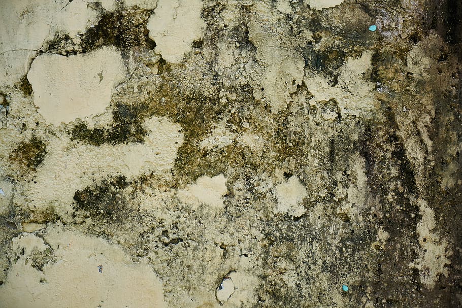 wall, texture, old, plaster, cement, painted, wallpaper, background HD wallpaper