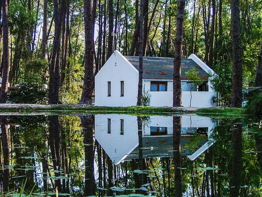 house, reflection, house reflection, tree, trees, tree reflection HD wallpaper