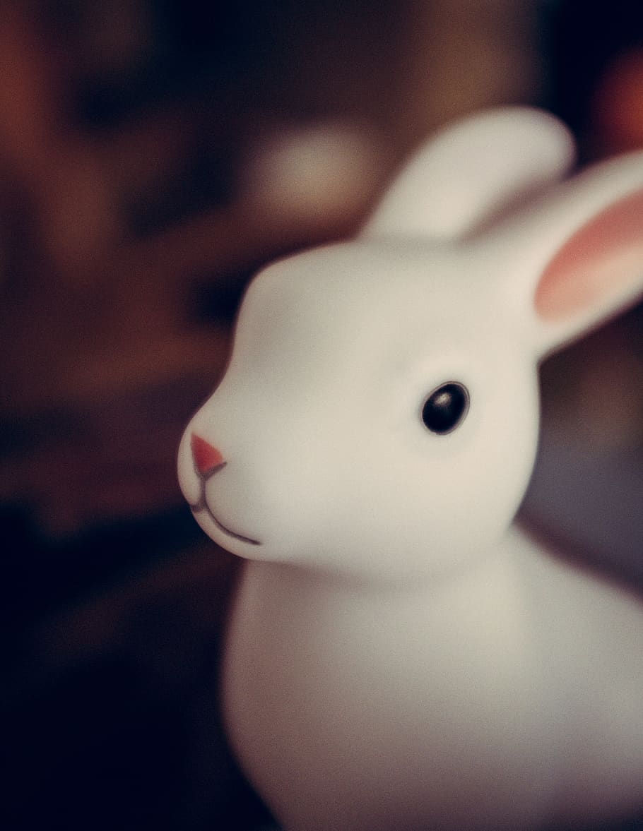 rabbit, animal, sweet, soft, white, eye, blur, brown, mouth HD wallpaper