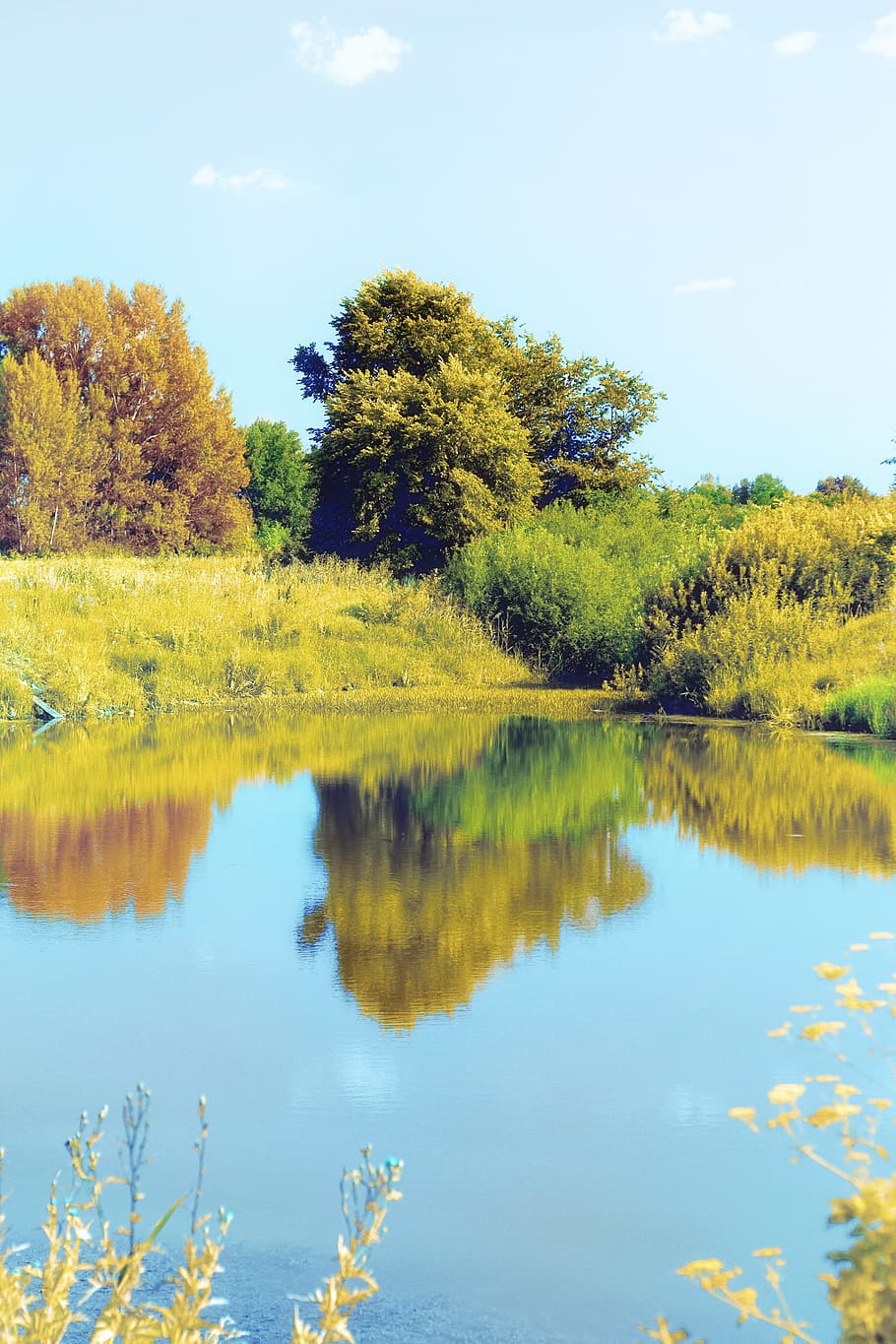 beautiful, country, countryside, environment, forest, grass HD wallpaper