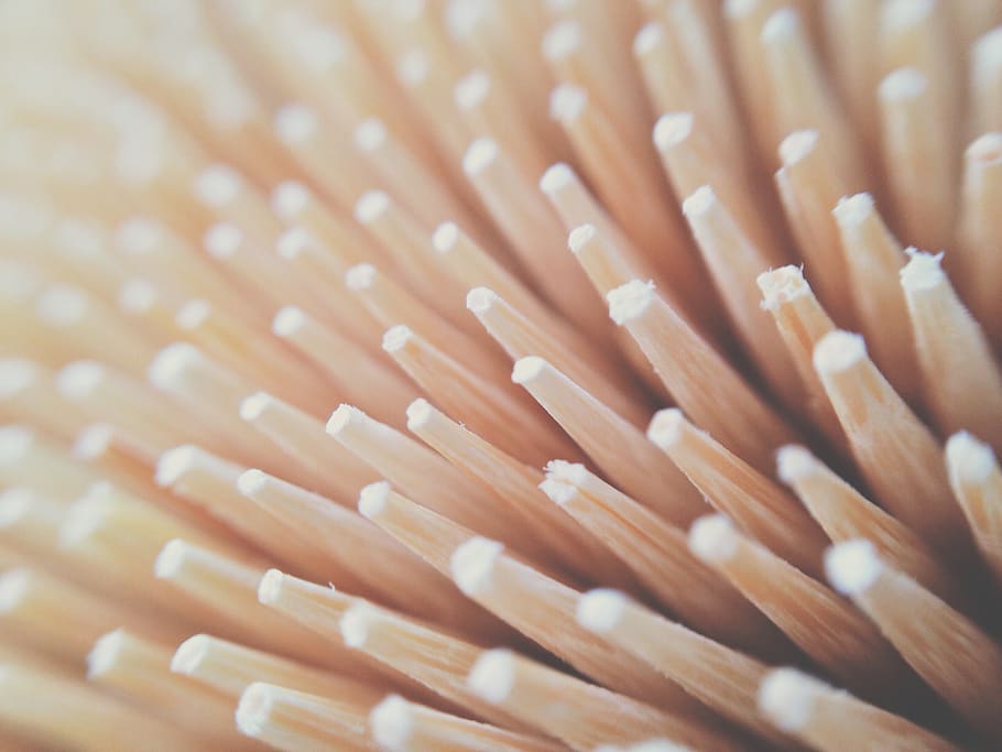 close-up, backgrounds, selective focus, no people, pattern HD wallpaper