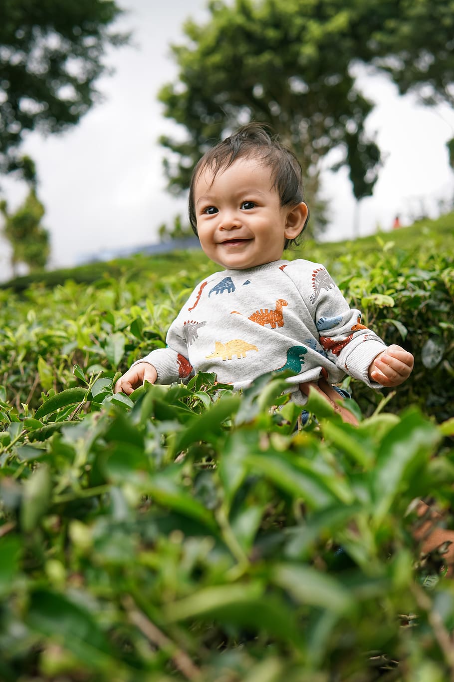 malaysia, cameron, childhood, real people, one person, plant HD wallpaper