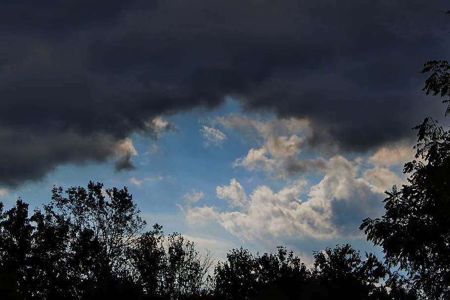 clouds, sky, weather, tree, cloud - sky, plant, beauty in nature HD wallpaper
