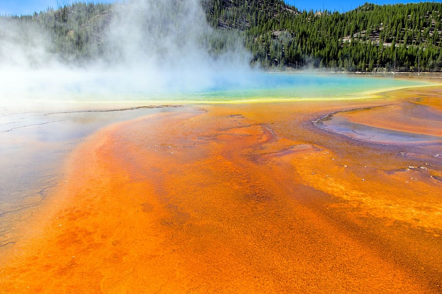 orange bacterial mats, hot, spring, pool, yellowstone, national, HD wallpaper
