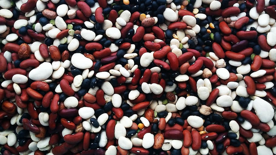 beans, legumes, brown, red, white, background, texture, natural HD wallpaper