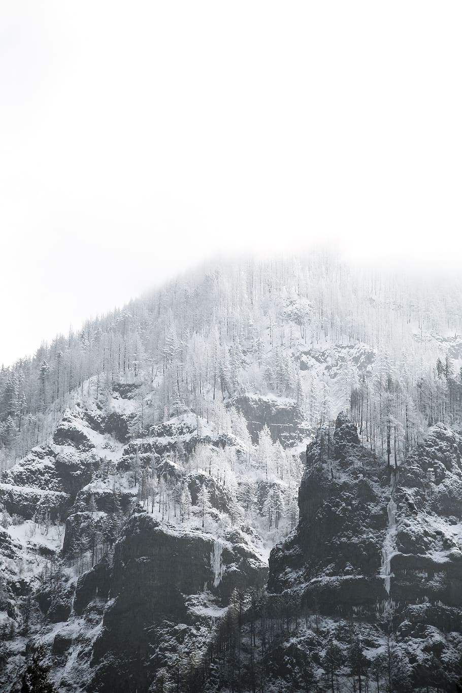 snow cape mountain, ice, nature, outdoors, tree, plant, abies HD wallpaper
