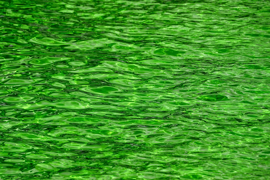 green, water, ripples, background, texture, green color, full frame HD wallpaper