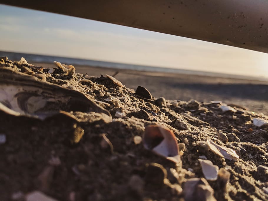 water, sand, rocks, focus, blur, beach, sea, sky, land, selective focus HD wallpaper