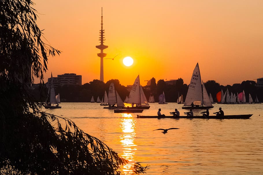 reflection, person, sunset, water, bird, silhouette, tree, sailing HD wallpaper