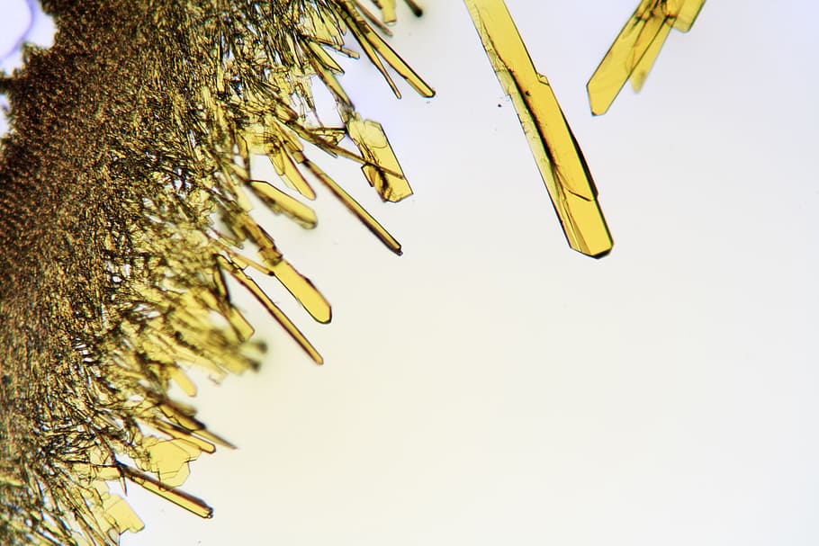 Crystals forming in solution viewed through the microscope, background, HD wallpaper