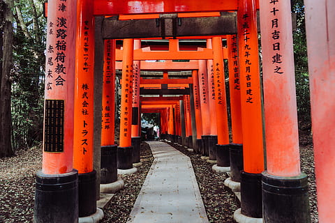 tori gate, building, architecture, torii, street, pillar, column HD wallpaper