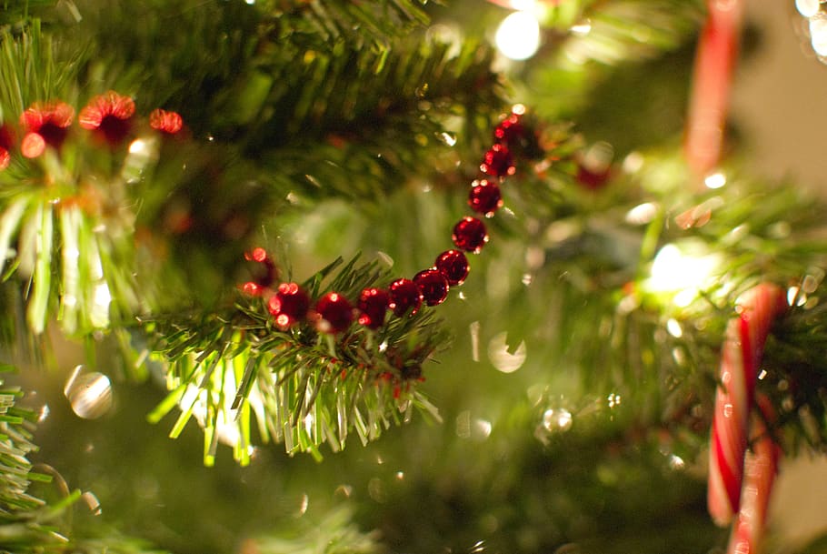 christmas, merry, holiday, red, green, gold, garland, beads, HD wallpaper