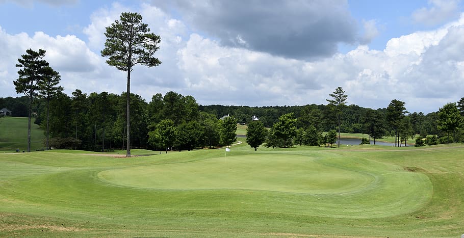 tree, grass, nature, landscape, panoramic, summer, golf, outdoors HD wallpaper
