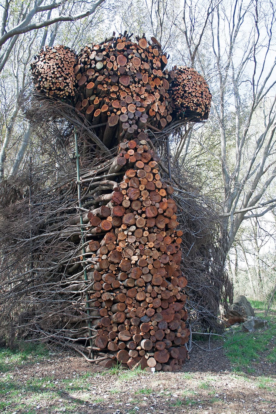 sculpture, art, branches, cut ends, arranged, shaped, design HD wallpaper