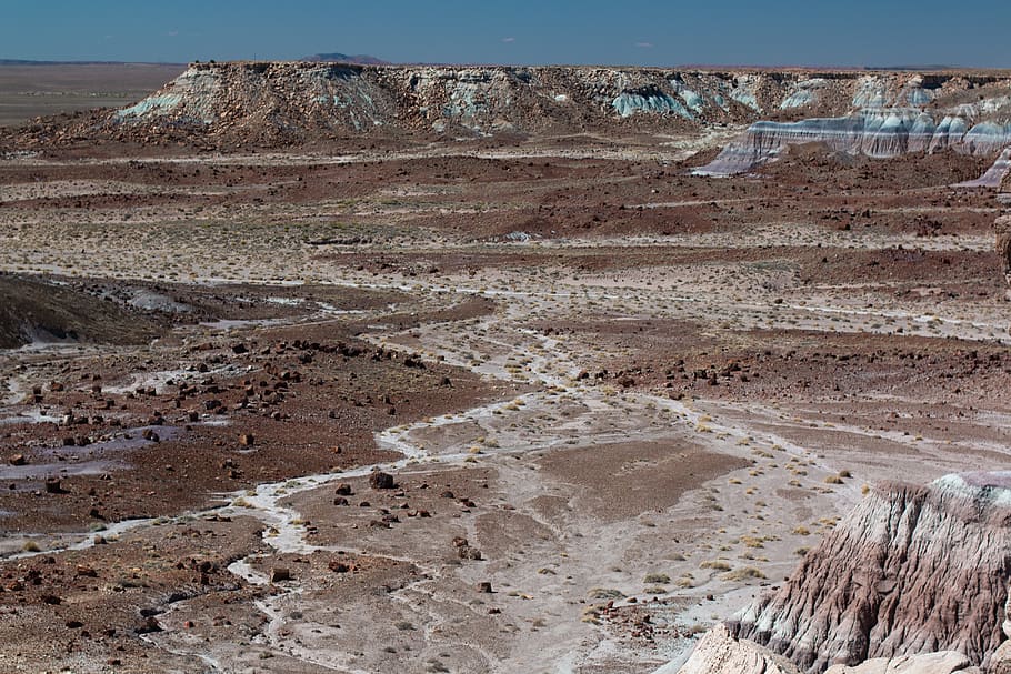 petrified forest national park, desert, arizona, landscape, HD wallpaper