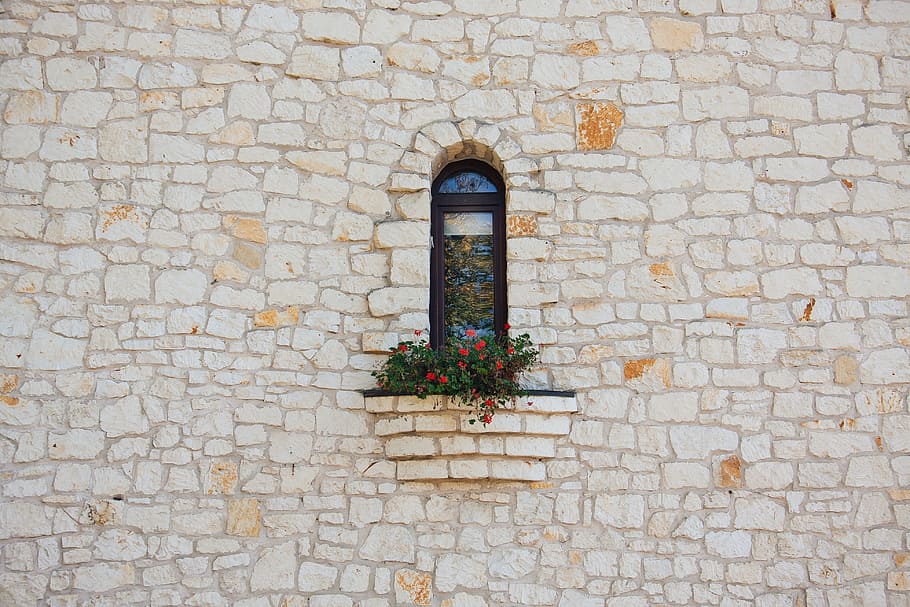 flower, window, wall, facade, stone wall, planter, ledge, brick HD wallpaper