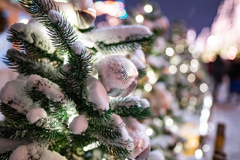 tree, decoration, christmas, celebration, christmas tree, holiday HD wallpaper