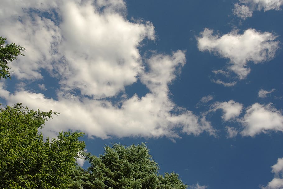 weather, clouds, blue sky, trees, nature, desktop background, HD wallpaper