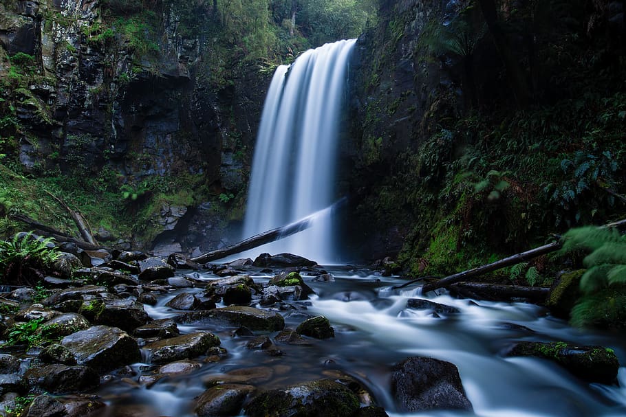 australia, beech forest, waterfall, long exposure, motion, scenics - nature HD wallpaper