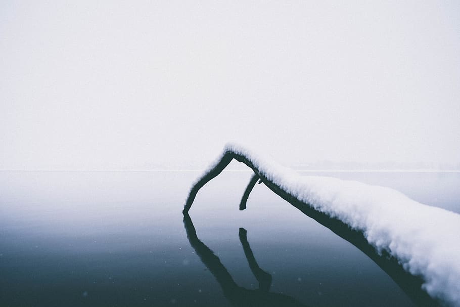 snow covered sea dock, minimalism, nature, branch, river, cold HD wallpaper