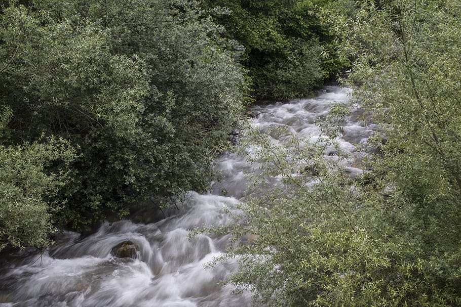 spain, ruayer, river, motion, beauty in nature, tree, plant HD wallpaper