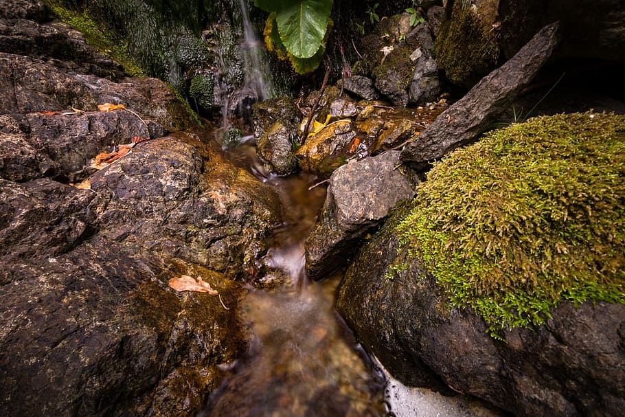 stream, water, green, moss, leaf, fall, nature, grass, landscape HD wallpaper